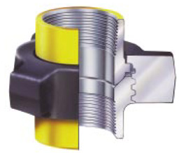 Fig 100 Hammer Union