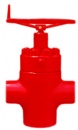 FC MANUAL GATE VALVE